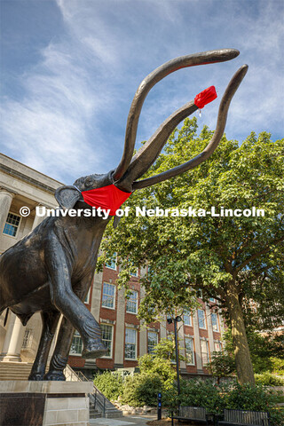 Archie the mammoth sculpture wears a mask outside of the University of Nebraska State Museum in Morr