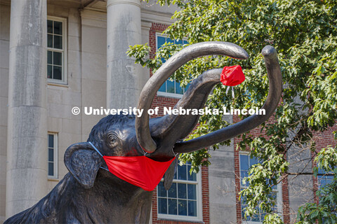 Archie the mammoth sculpture wears a mask outside of the University of Nebraska State Museum in Morr