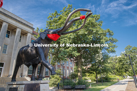 Archie the mammoth sculpture wears a mask outside of the University of Nebraska State Museum in Morr