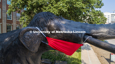 Archie the mammoth sculpture wears a mask outside of the University of Nebraska State Museum in Morr