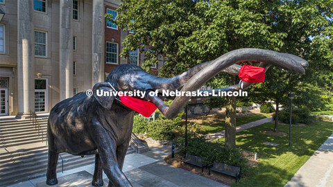 Archie the mammoth sculpture wears a mask outside of the University of Nebraska State Museum in Morr