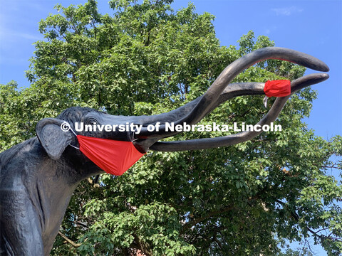 Archie the mammoth sculpture wears a mask outside of the University of Nebraska State Museum in Morr