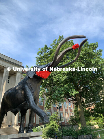 Archie the mammoth sculpture wears a mask outside of the University of Nebraska State Museum in Morr