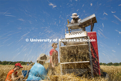 Chaff flies as Stephen Baenziger, professor and Wheat Growers Presidential Chair in the University o