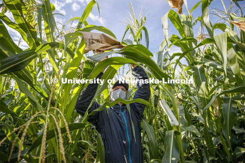 David Holding, Associate Professor of Agronomy and Horticulture, and Caleb Wehrbein, senior in plant