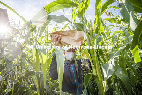 David Holding, Associate Professor of Agronomy and Horticulture, and Caleb Wehrbein, senior in plant