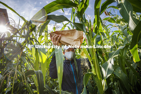 David Holding, Associate Professor of Agronomy and Horticulture, and Caleb Wehrbein, senior in plant