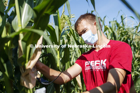 David Holding, Associate Professor of Agronomy and Horticulture, and Caleb Wehrbein, senior in plant