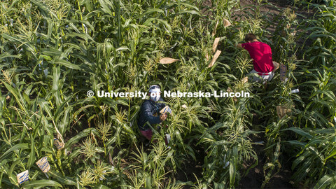David Holding, Associate Professor of Agronomy and Horticulture, and Caleb Wehrbein, senior in plant