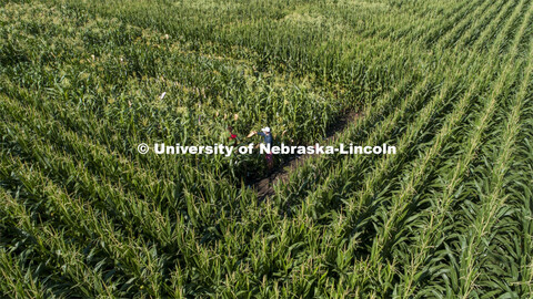 David Holding, Associate Professor of Agronomy and Horticulture, and Caleb Wehrbein, senior in plant