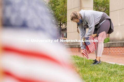 Junior political science major Sarah Reyes places American flags across the Donald and Lorena Meier 