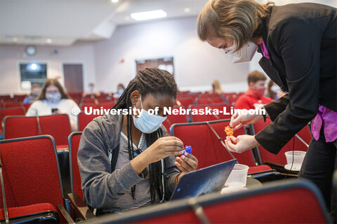 Rebecca Roston (right), associate professor of biochemistry, explains the activity of an enzyme usin