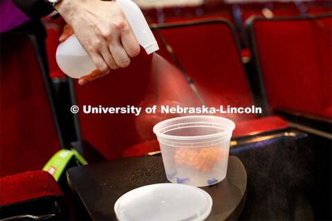 Professor Rebecca Roston disinfects the 3-D models before collecting them to be used later. Students