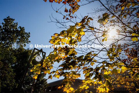The clock tower on East Campus is surrounded by yellow fall leaves. September 25, 2020. 