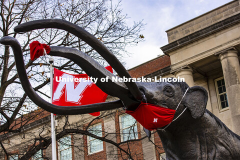 Archie the Mammoth in front of the Nebraska State Museum in Morrell Hall. November 18, 2020.  