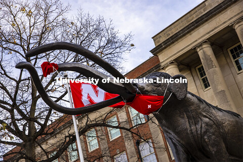 Archie the Mammoth in front of the Nebraska State Museum in Morrell Hall. November 18, 2020.  