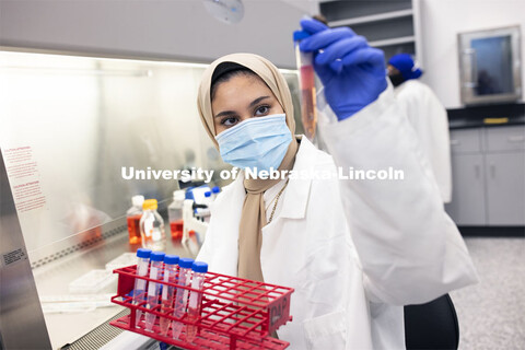 Mahaa Albusharif, student worker, works in the Nebraska Food for Health Center lab. November 19, 202