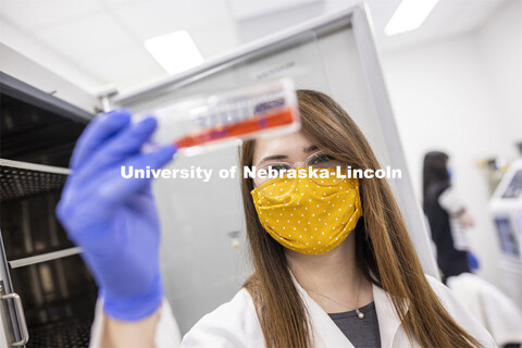 Ashley Toney looks over a sample in the Nebraska Food for Health Center lab. November 19, 2020. 