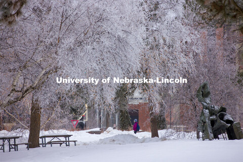 Students walk to class as frost coats the trees in the green space between the Sheldon Art Museum an