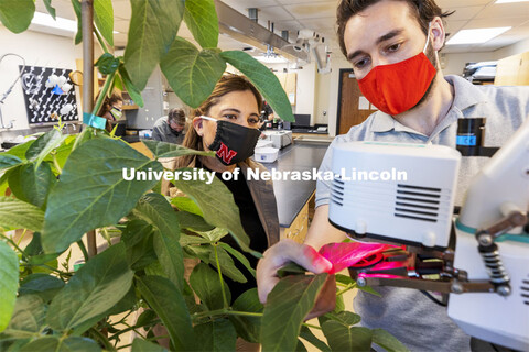 Tala Awada, Physiological Plant Ecologist and Associate Dean Agricultural Research Division and post