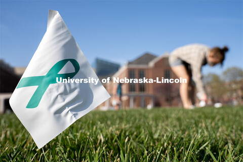 Sophomore psychology major Violet Hudson places flags across the Nebraska Union Greenspace. Flags an