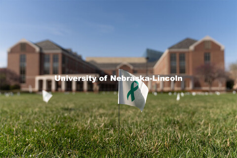 Flags are spread across the Nebraska Union Greenspace. Flags and signs are placed in the Nebraska Un