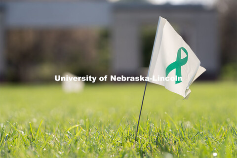 Flags are spread across the Nebraska Union Greenspace. Flags and signs are placed in the Nebraska Un