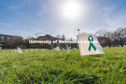 Flags are spread across the Nebraska Union Greenspace. Flags and signs are placed in the Nebraska Un