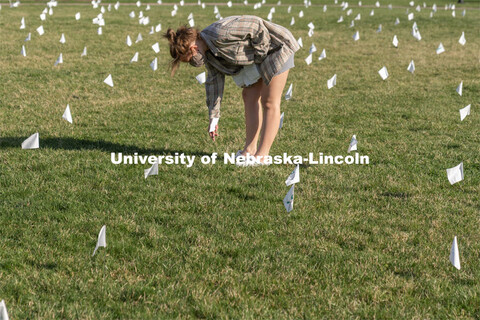 Sophomore psychology major Violet Hudson places flags across the Nebraska Union Greenspace. Flags an