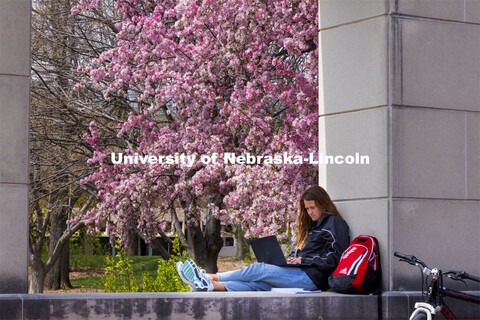 Audrey Freyhof, a junior from Hamilton, Michigan, studies amongst the flowering trees on the ledge o