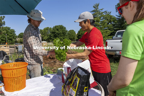 Albert Nguyen and Alyssa Amen are members of the CSA and pick up their weekly produce from Nash Leef