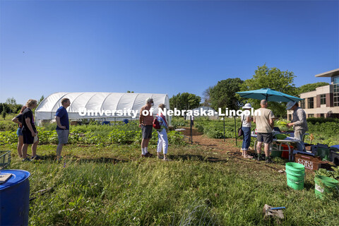 Students work in the Student Organic Garden on East Campus while CSA (Community Supported Agricultur