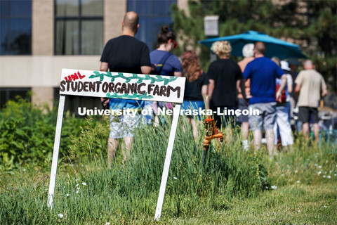 Students work in the Student Organic Garden on East Campus while CSA (Community Supported Agricultur