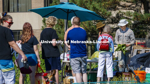 Students work in the Student Organic Garden on East Campus while CSA (Community Supported Agricultur