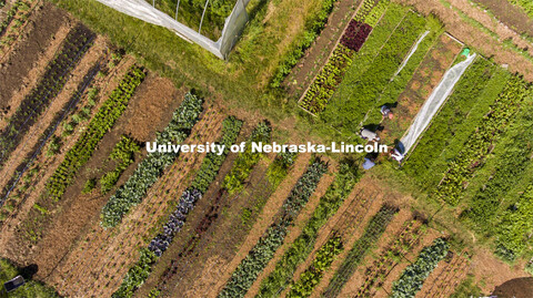 Aerial view of the UNL Student Organic Farm. Students work in the Student Organic Garden on East Cam