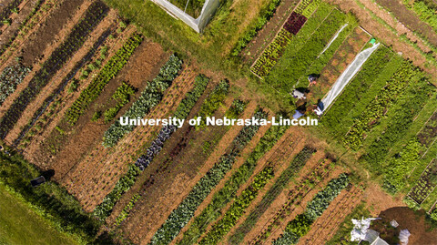 Aerial view of the UNL Student Organic Farm. Students work in the Student Organic Garden on East Cam