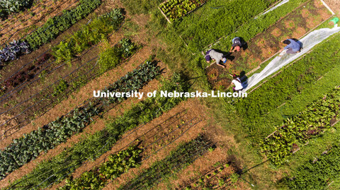 Aerial view of the UNL Student Organic Farm. Students work in the Student Organic Garden on East Cam