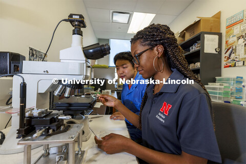 McNair scholar Alyssa Simpson adjusts a suspended ferroelectric oxide Pb(Zr,Ti)O3 membranes sample a