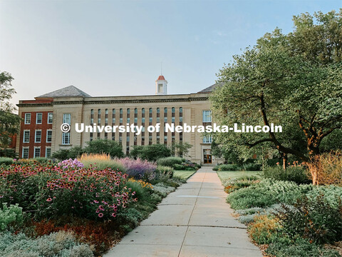 The Love Garden is in bloom on the south side of the Love Library on City Campus. July 21, 2021. 