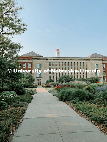 The Love Garden is in bloom on the south side of the Love Library on City Campus. July 21, 2021. 