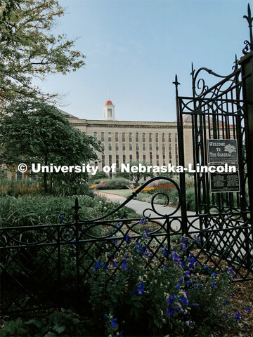 The Love Garden is in bloom on the south side of the Love Library on City Campus. July 21, 2021. 