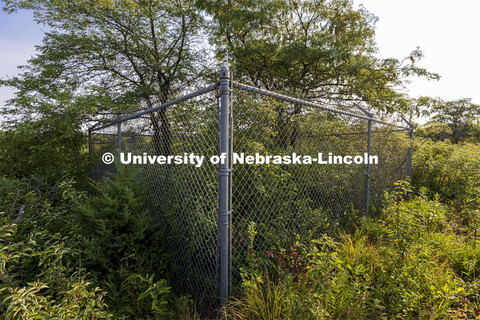 Biological/botanical study plots dot the landscape at Reller Prairie Field Station south of Martell,