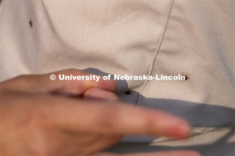 Tick check. Reller Prairie Field Station south of Martell, Nebraska. August 3, 2021. 