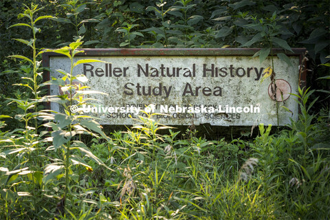 The original signage for the Reller Prairie Field Station hides in the weeds. August 3, 2021. 