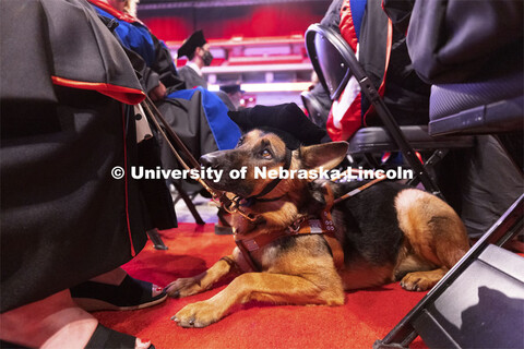 Sheila wears a tam like her owner, Nicole Green. The service dog accompanied Nicole Green across the