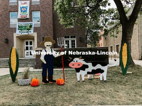 Homecoming 2021 yard displays. October 14, 2021. 