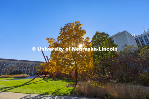 Old Glory is surrounded by fall trees. Fall on city campus. November 5, 2021. 