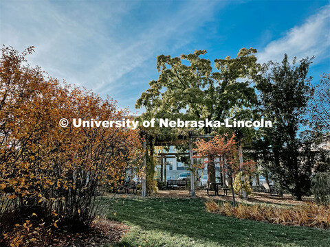 Fall on East Campus. November 6, 2021. 