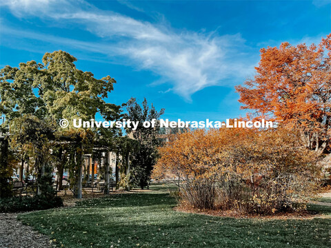 Fall on East Campus. November 6, 2021. 