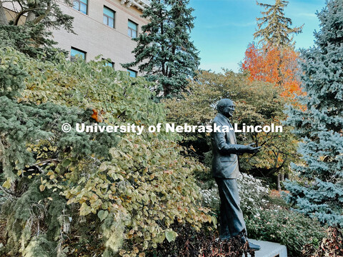 Fall on East Campus. November 6, 2021. 
